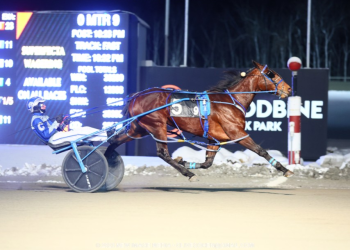 Need To Breathe blows over another field