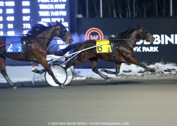 Patriarch Hanover rises and pops