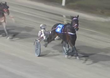 Power And Grace cruises in London Preferred