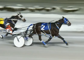 Thirteen-year-old wins sixth straight