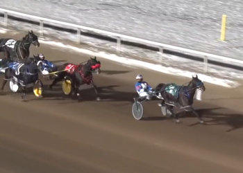 Shark Week returns to Edmonton throne