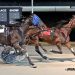 31-1 upset winner in $30,000 Open Trot
