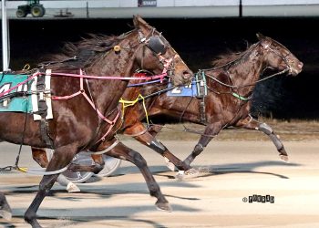 Sandy Sue beats younger rivals in Open