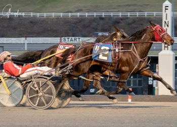 Surreal Ideal scores on the drop