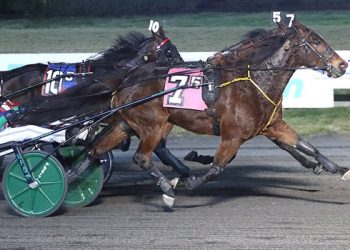 McCarthy slams at Big M