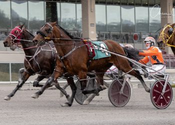 Wild Wild Western finish in Open Handicap