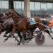 Wild Wild Western finish in Open Handicap