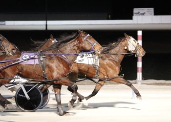 Son of Sunshine Beach upsets in Open Pace