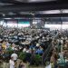 Sunshine Stars Yearling Sale fast approaching