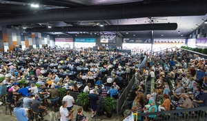 Sunshine Stars Yearling Sale fast approaching