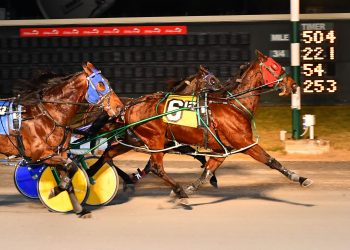 Backstreet Shadow digs in to take Open Pace