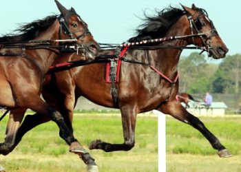 Big Christian finally ready after rocky road