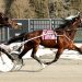 Big Box Hanover powers to easy victory 2