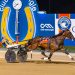 Braeview Kelly victorious in $200,000 Queen Elizabeth Mile