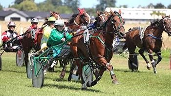 Davis having the time of his life with Buckskin