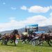 Big grass track bonus on offer