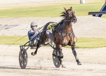 Brilliant performance from Captain Ravishing