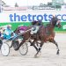 Captaintreacherous stars outstanding at Melton