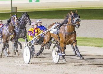 Catch A Wave gets set to crash Captain’s party