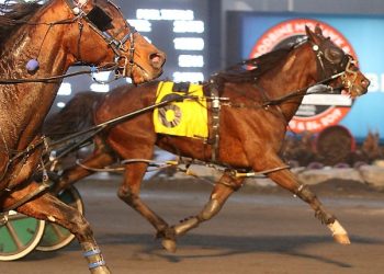 Cheddar Bay flips script in Western Fair Preferred