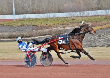 Casual Cool keeps his cool in Pocono feature