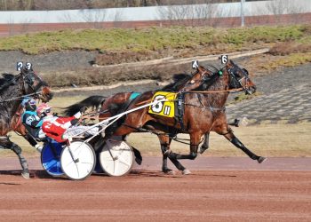Sunny start to Pocono meet
