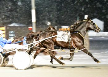 Pacer of the Year gets home from post eight in the snow