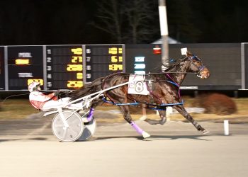 Optical Illusion N pulls a blinder to take feature