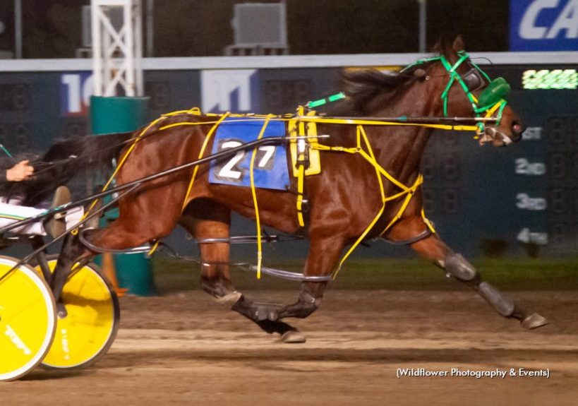 Kirschenbaum, Sire Stakes at Cal Expo 1