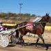 Minnesota Harness Racing names County Fair Award winners