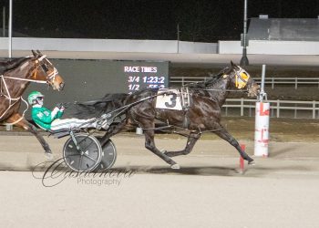 Patiences pays off for Kat