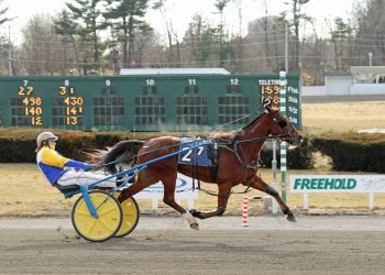 AHDC amateur trots in frigid Freehold weather