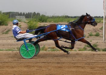 Where Are They Now: Millies Million