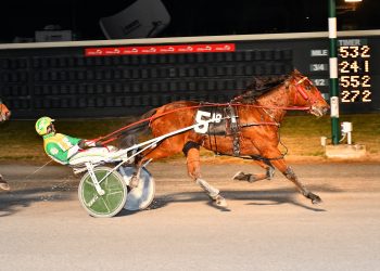 Muscle Dynasty strongest of life at Dover