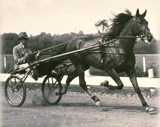 “Lydia, oh Lydia” a stroll down memory lane