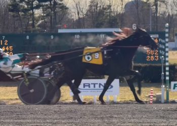 Photo finish camera needed in Open Trot