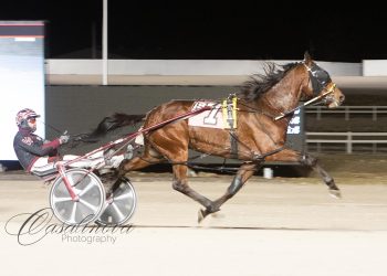 “Killer” and “Odds On” score co-feature Open victories