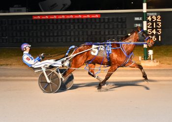 Penzance Hanover takes lifetime mark in Open