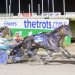 Plymouth Chubb win honours legendary trotter 2 Plymouth Chubb win honours legendary trotter