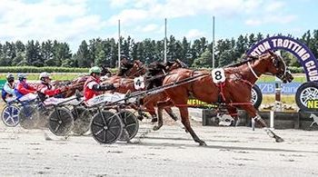 Diamond Racing duo quinella Ashburton Cup