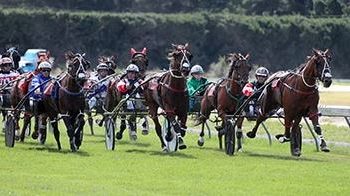 Big weekend in the sulky for Smith