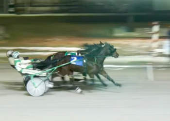 Canada First Lady upsets to give Reibelings first of year