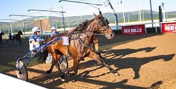 Quill loving it in New Zealand