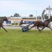 Who’s Tougher? – Sibling showdown at Addington