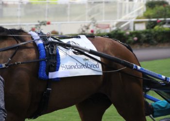 Harness Million Series moved to Cambridge