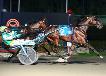 Ontario Sire Stakes releases 2023 schedule