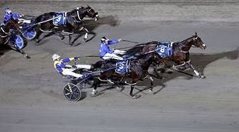 Six slots left to fill for The Race by Grins