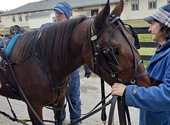 Trish Speaker a home run for her owner