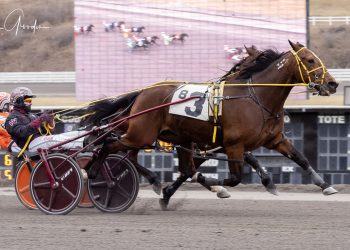 A Fair Ol Dance N vaults past Sandbetweenmytoes