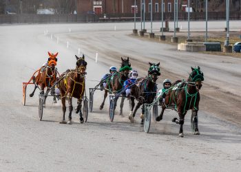 New Jumpstart Series at Buffalo Raceway